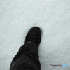 突然の積雪