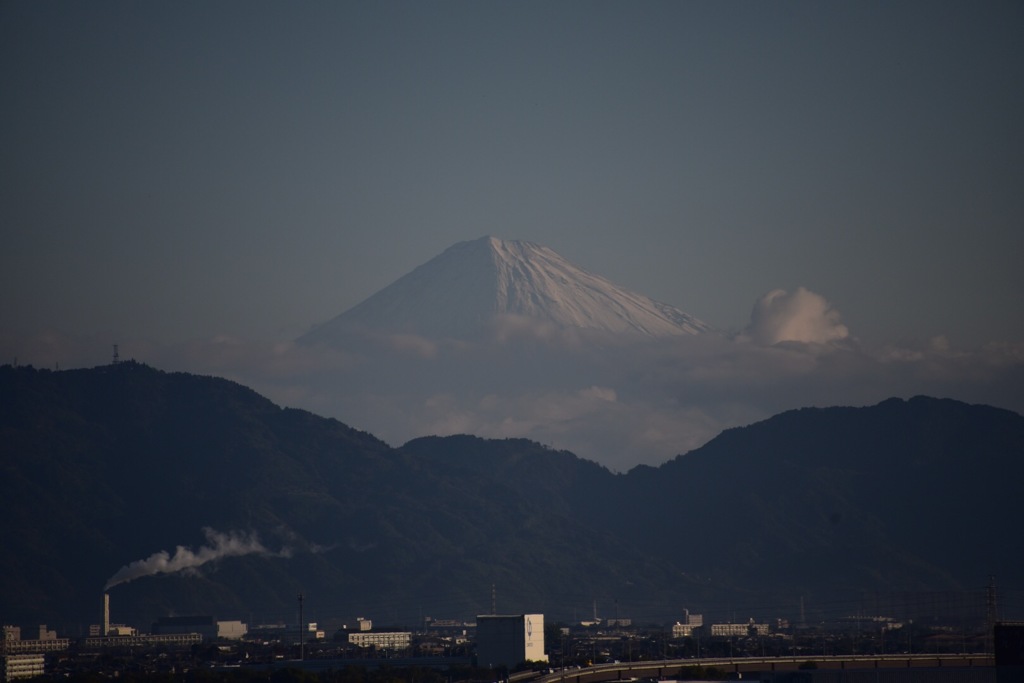 おはようございます