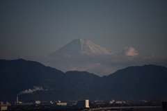 おはようございます