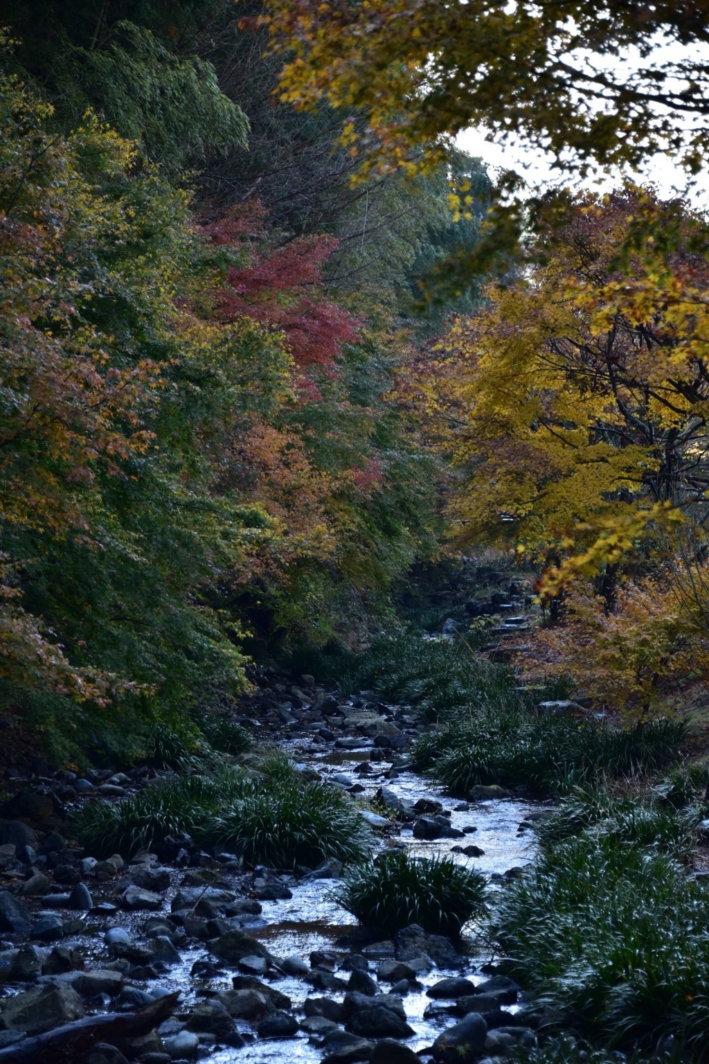 つたの細道公園
