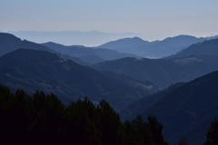 IMG_4523