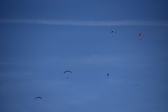 IMG_5066