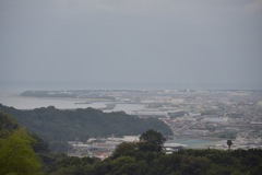 焼津港