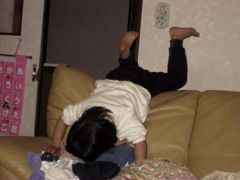 ドテッ！ソファーの背もたれを歩いていたら