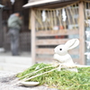 神神社