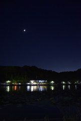蓮華寺池公園
