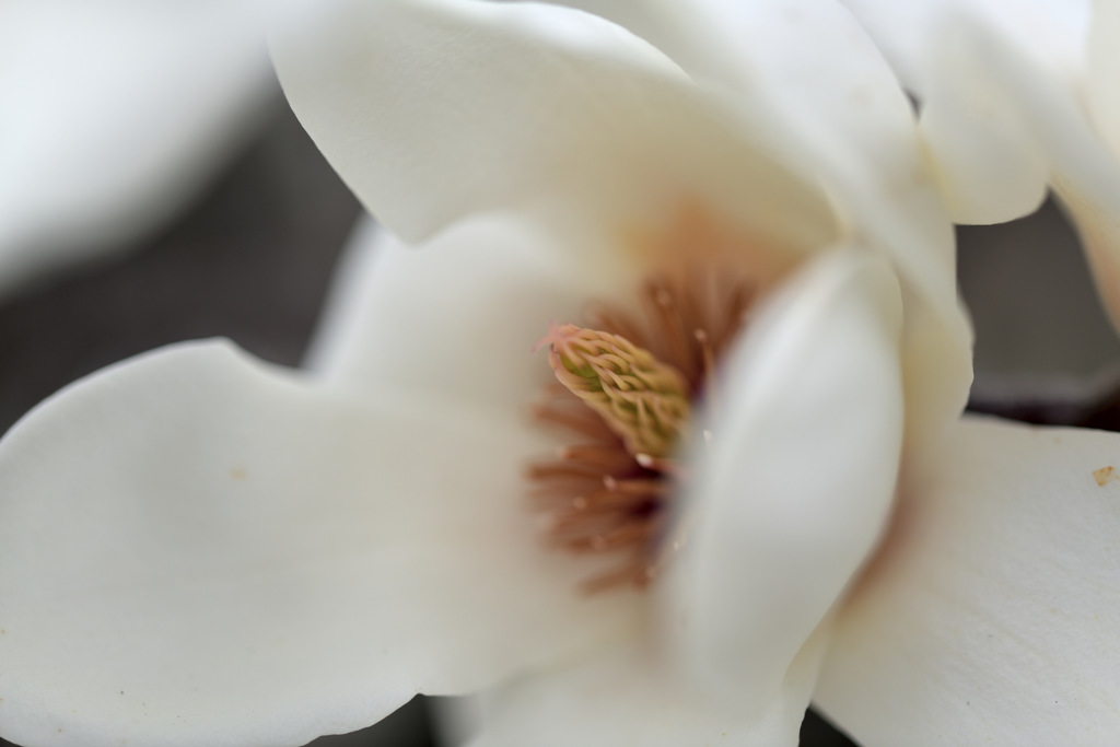 DSC_1361