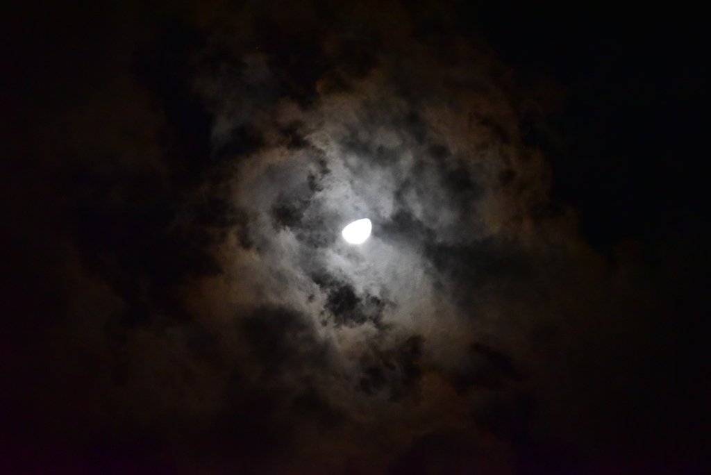 DSC_2641