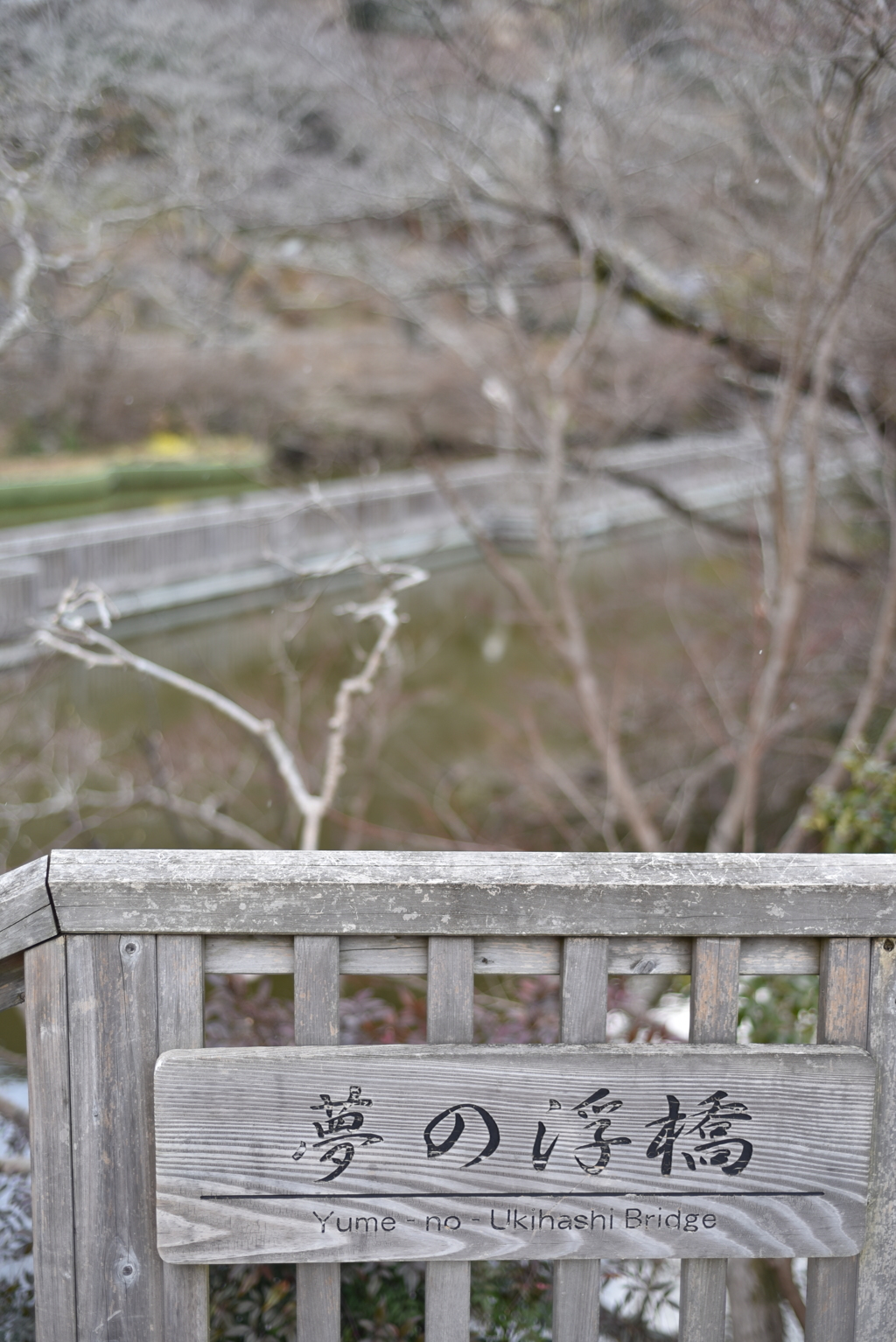 夢の浮橋