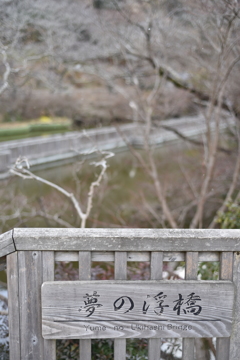夢の浮橋