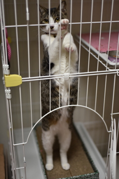 長〜い朔