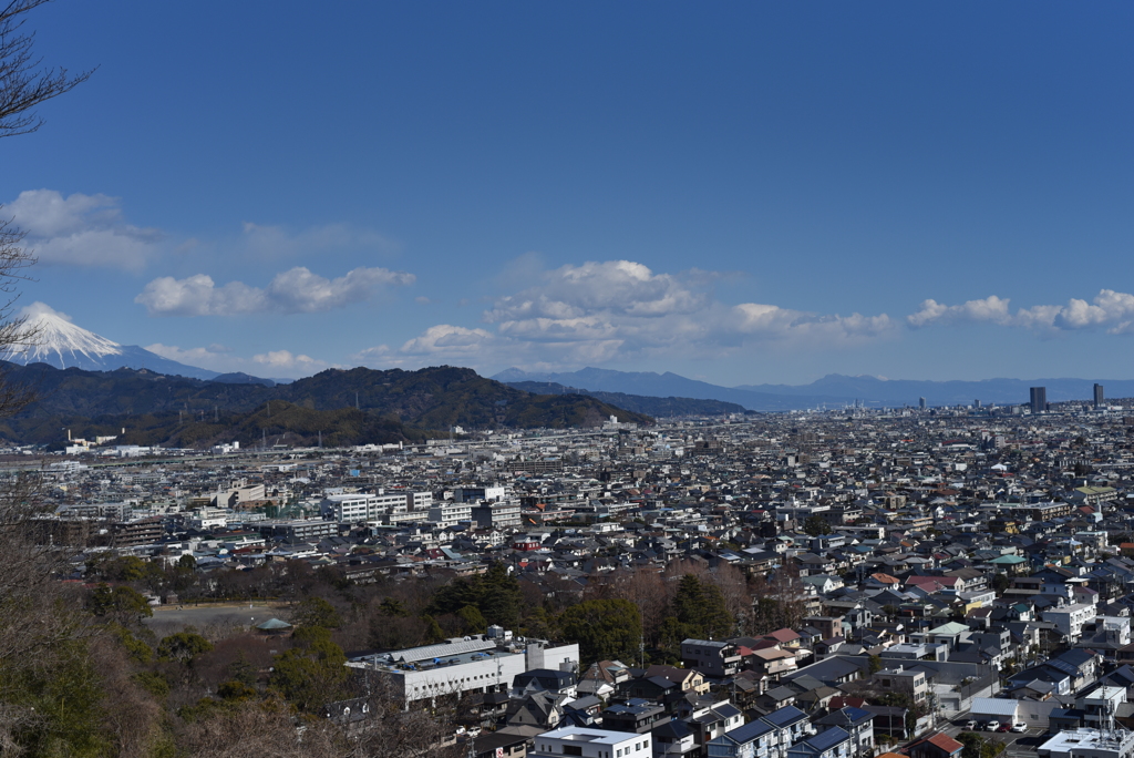 浅間神社の山頂からの静岡市