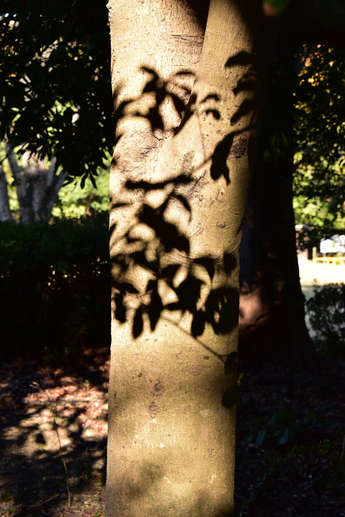 DSC_3740