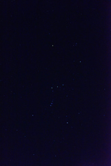DSC_5469_01