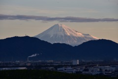 IMG_5053