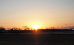 IMG_5232