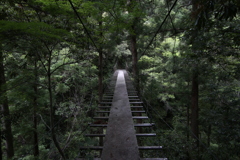森の中の道