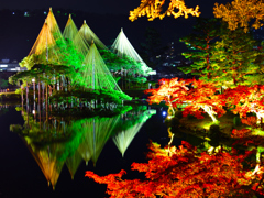 雪つり技術が作りだした紅葉の世界