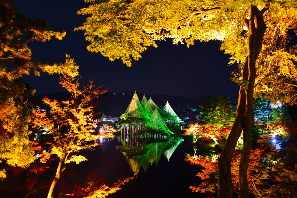 黄金の霞ヶ池と唐崎松の紅葉