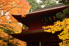 大乗寺の紅葉
