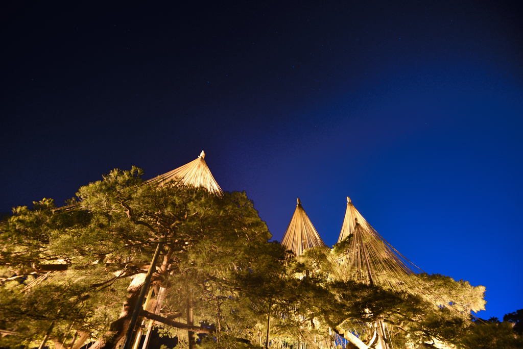 兼六園の夜空