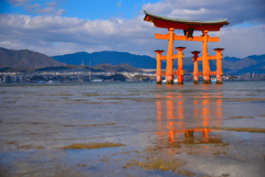 鳥居までの道のり