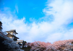 春の石川門の青空