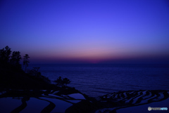 ブルーカラー棚田～千枚田の夕日～