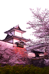 石川門～桜シーズンの幕開け～