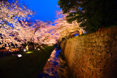 金沢城～夜桜の鏡堀2019～