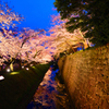金沢城～夜桜の鏡堀2019～