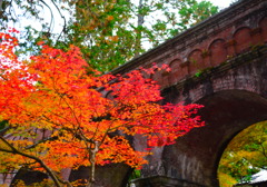 水路閣ともみじの紅葉