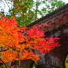 水路閣ともみじの紅葉