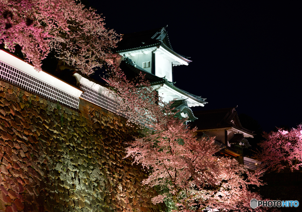 石川門の夜桜