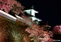 石川門の夜桜