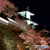 石川門の夜桜