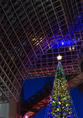 京都駅のクリスマスツリーイルミネーション