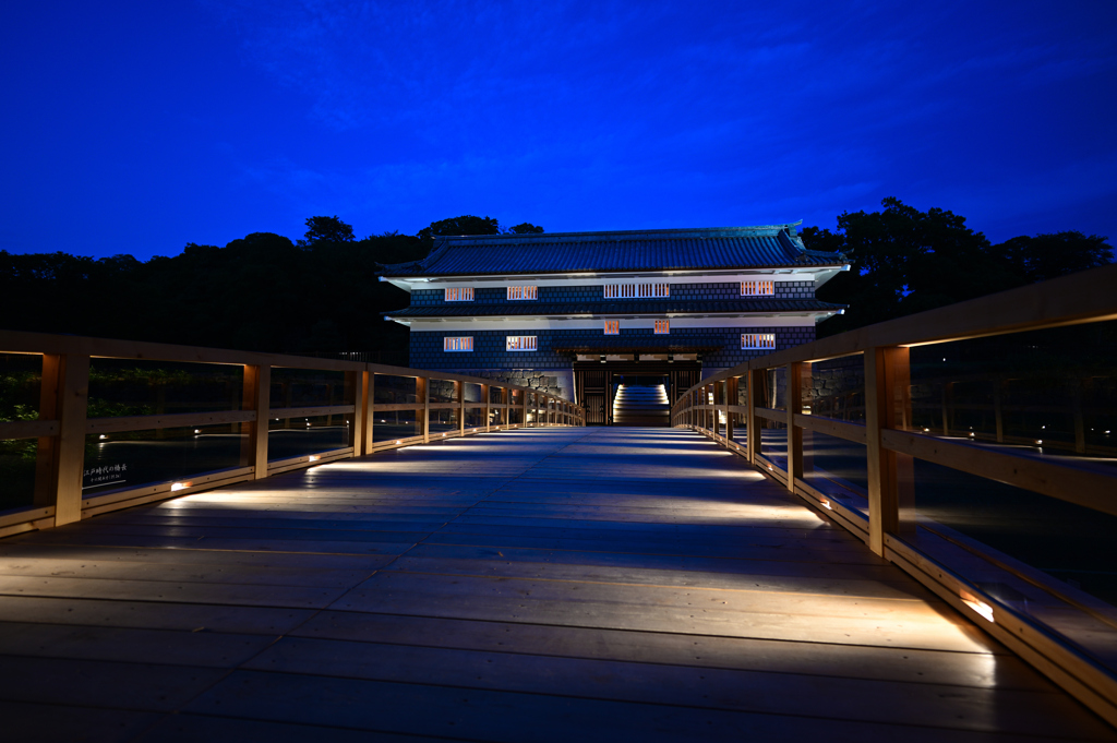 新名所～鼠多門ライトアップ～