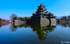 冬の青空に立つ松本城