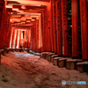 石浦神社の冬景色