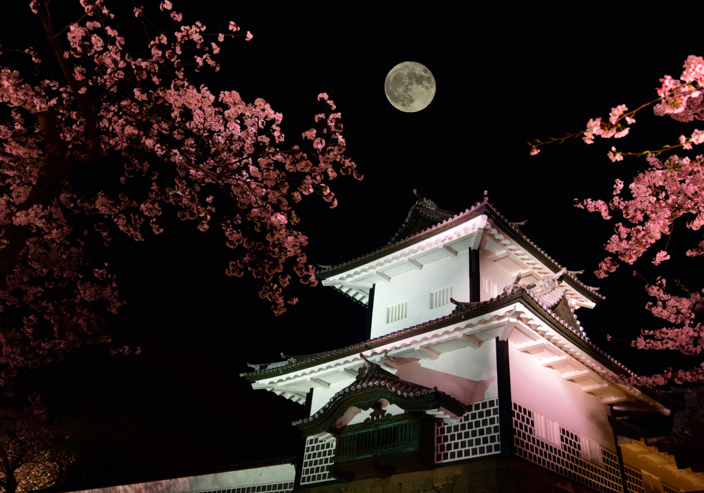桜と月がお出迎え