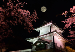 桜と月がお出迎え