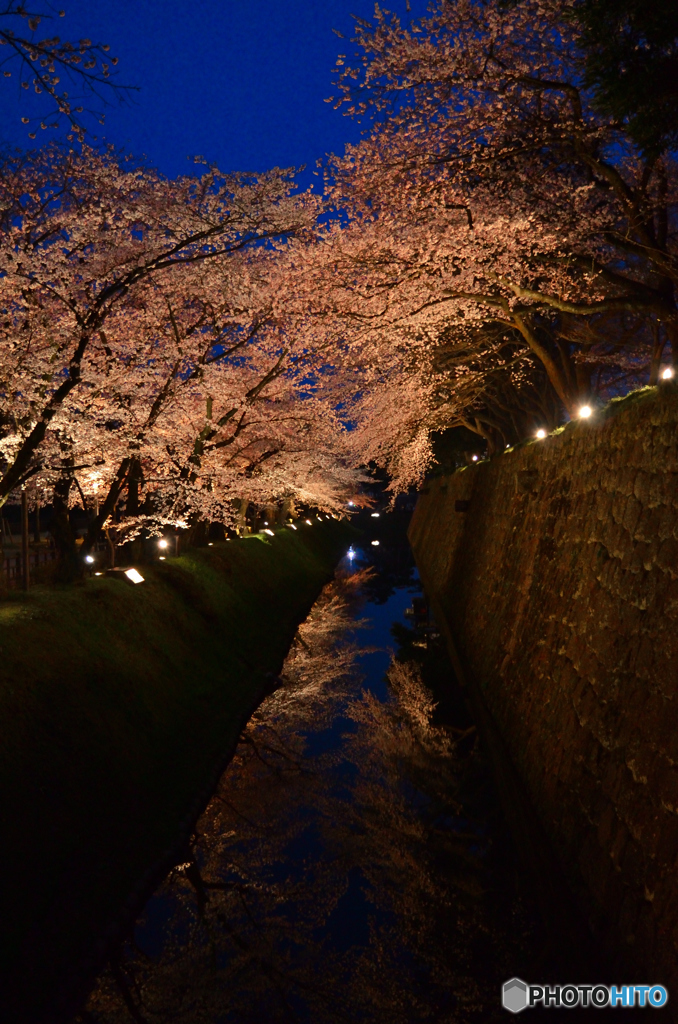 夜桜トンネル～金沢城春の風景～