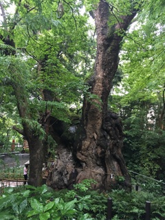 一千年