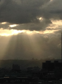 Before a typhoon