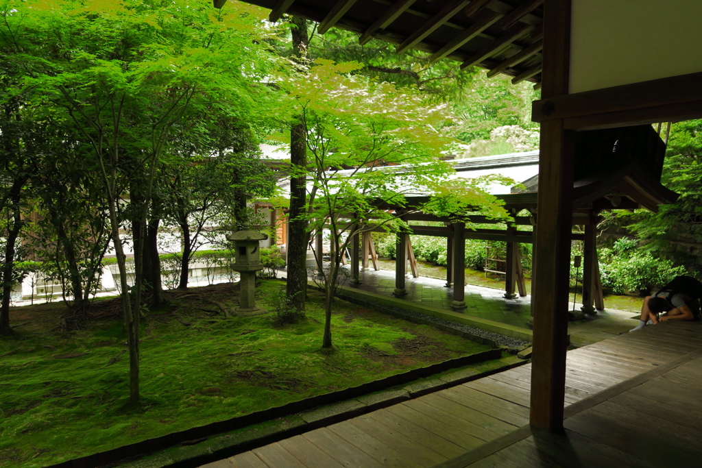 龍安寺の一角