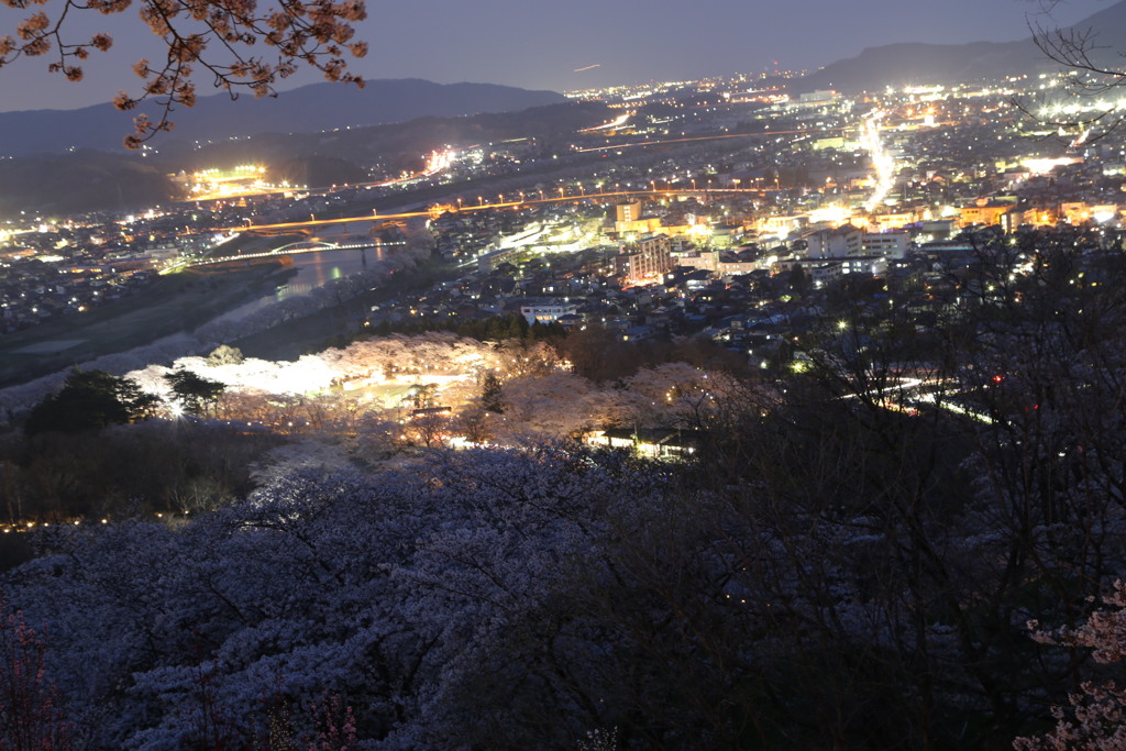 桜と夜景#2