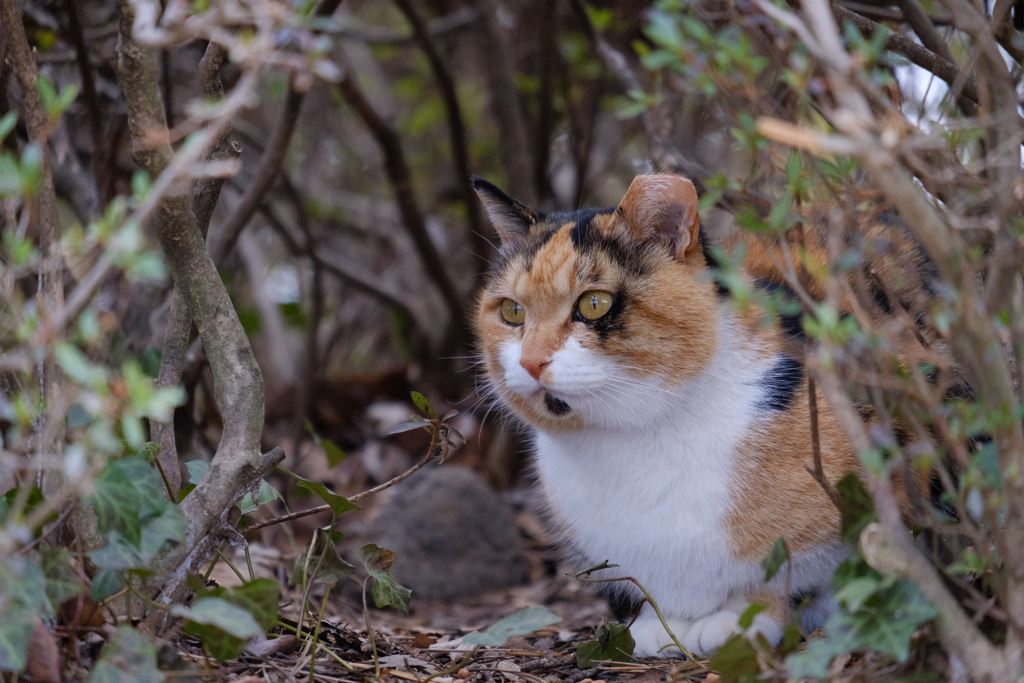 この角度が一番いいでしょ=^_^=