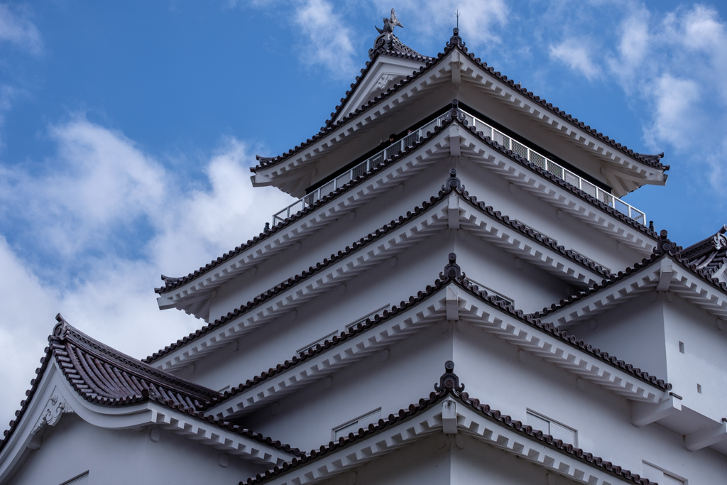 青空で泳ぐ鯱