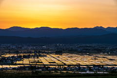 夕陽に染まる